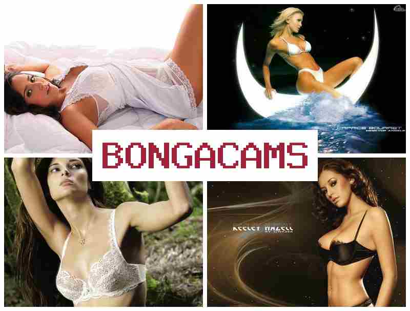 BONACAMS 🔵 Solo, Webcams Nude & Amateur Real Wife Sex BONACAMS 🔵 Solo, Webcams Nude & Amateur Real Wife Sex