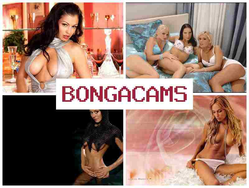 BOBGACAMS 💕 18+ Teen Boys Sex & Gossip Girl Sex Scene