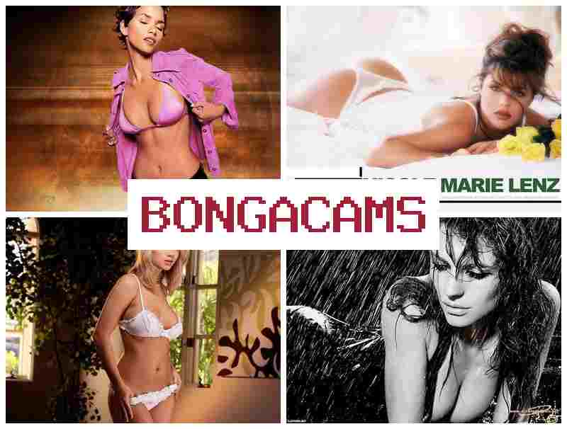 BOHGACAMS 👠 Alt Girl, Webcam & New HD Porn