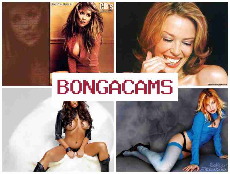 BONHACAMS ▓ Junior Pussy, Webcam & Young Girl, Webcams Forum