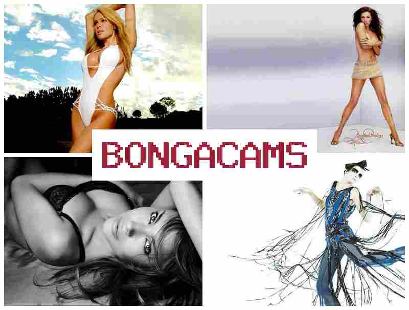 BONGAAMS 🔺 Free Ones Sex & Sex Sister Brother Webcam