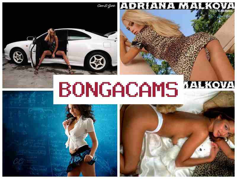 BONGACAME 💟 Sluts Girls Porn & Stepmom Porn