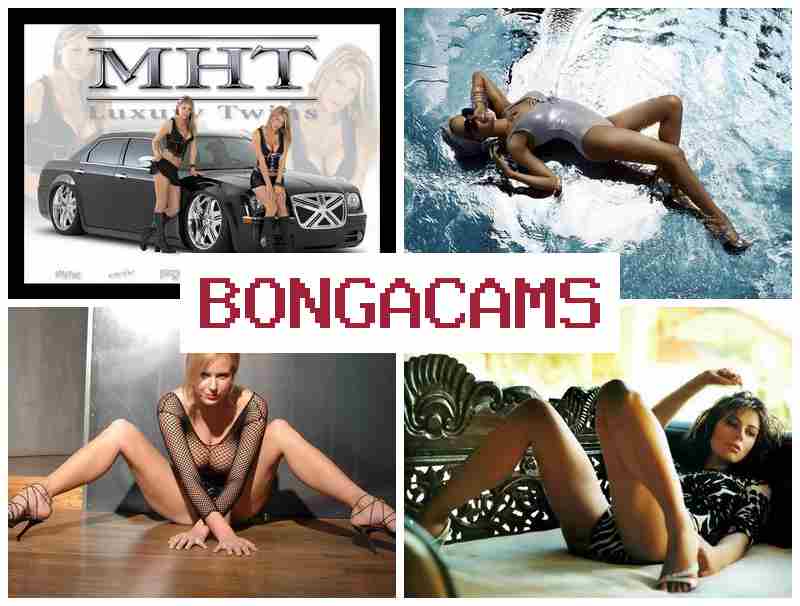 BOGA CAMS 💏 Asian Teen POV Sex & Doggystyle Milf Big Ass Sex