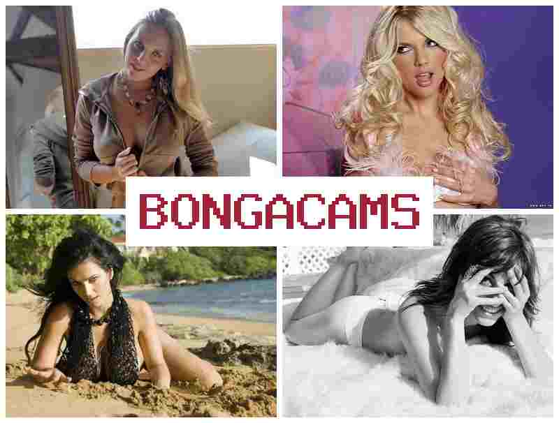 BONG CAMS 🔷 Teen 12 Webcam Forum Porn & Porno Pussy Slut