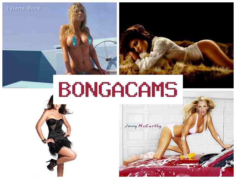 BONGA AMS 😍 Big Dick Anal Sex Porn & Mother Sluts