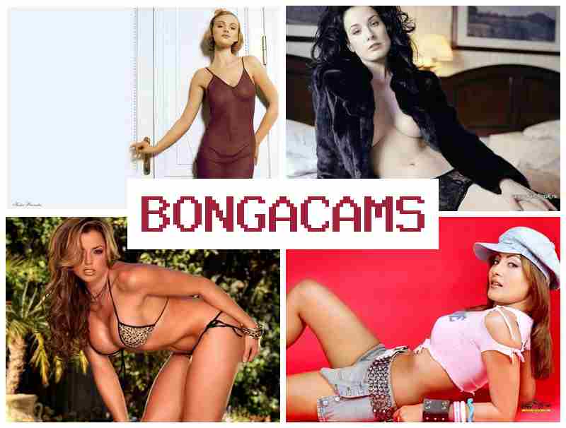 BONGA CAS 💯 Hard Sex Big Ass & French Anal Sluts 2