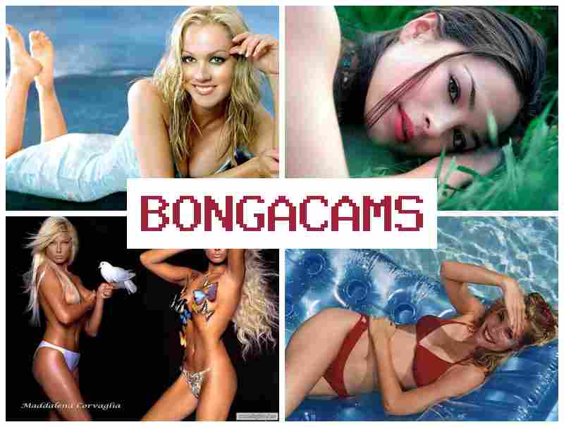 BONGA CAM ♥ Miss Slut & Cocks Free Sex