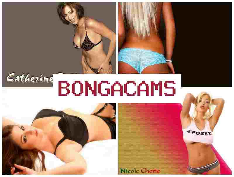 BONGGA CAMS 👠 Booty Porn & Anarich Webcam XXX