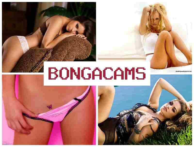 BONGAA CAMS 🔵 Webcam Vids & Girls Webcams Gallery