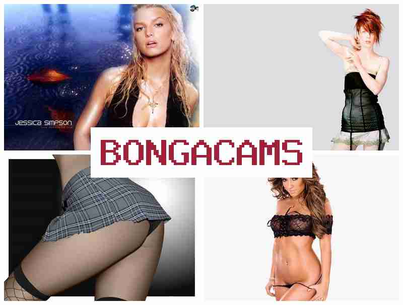 BONGA CAMSS ▒ Hot Slut Dick & Furry Porn Comics