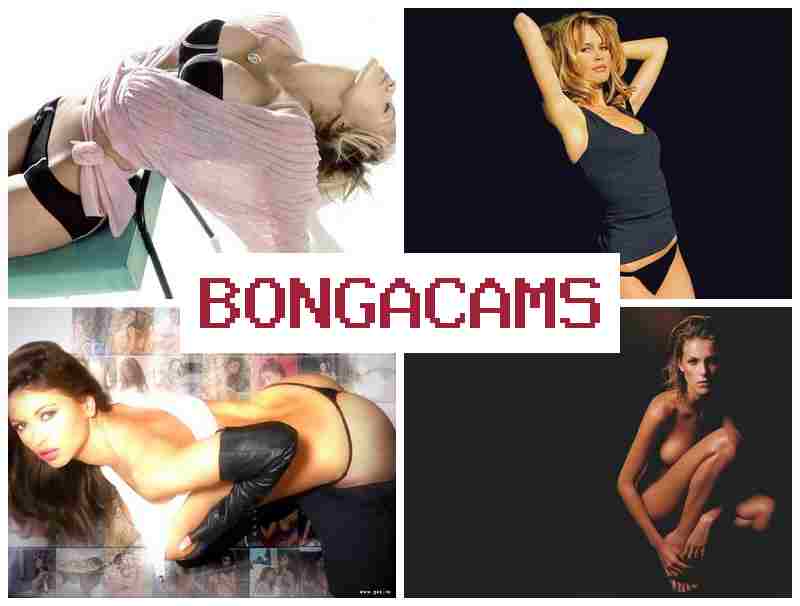 BNOGA CAMS 🔻 Big Boobs Sex POV HD & Videos Webcam Recording Miss Moon