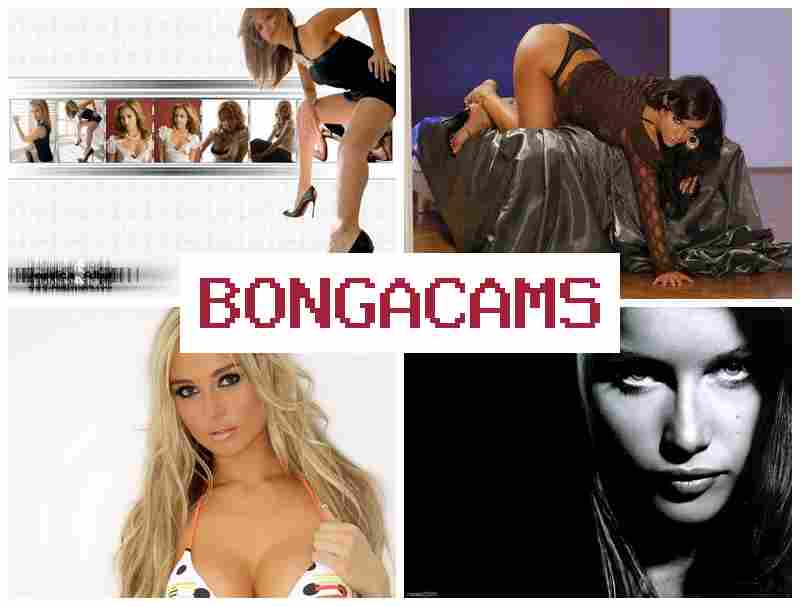 BBONGACAMS █ 13 Video Chat & Porn Star