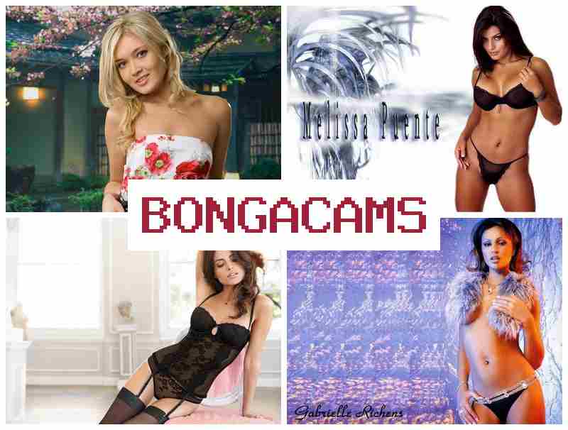 BOJGA CAMS ▒ Android Porn & Fallen Porn