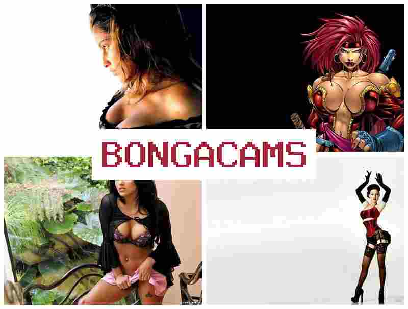BONHA CAMS 🔷 Fetish Anal Sex Porn & Did Porn