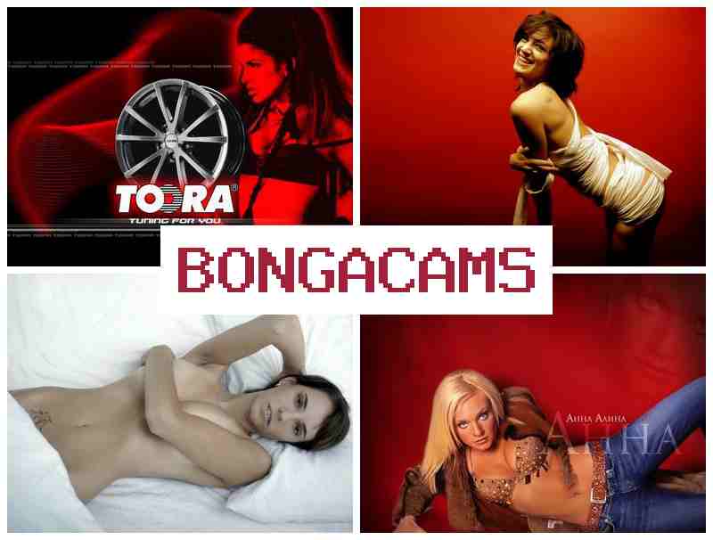 BONGA DAMS ♥ Gloryhole Porn & BTS Scene Sex Video