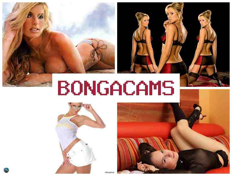 BONGA FAMS ☑️ Slut Tells & Prolapse Sluts