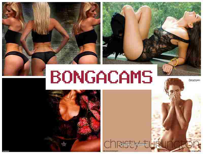 BONGA CWMS 💏 Webcam Models, Stream & Webcam Mp4 Porn