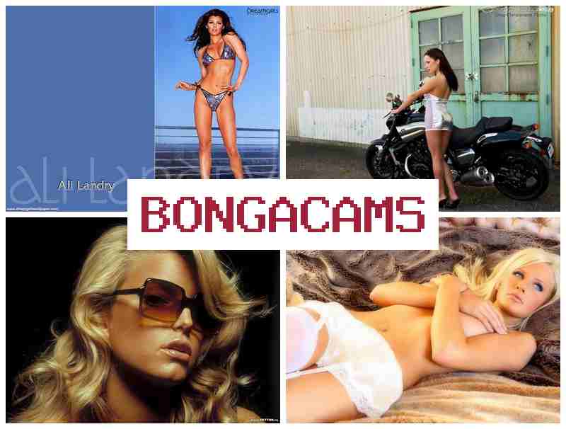 BONGA CANS 💖 New Porn Videos & Azeri Sex Chat Gehbeler Telegram