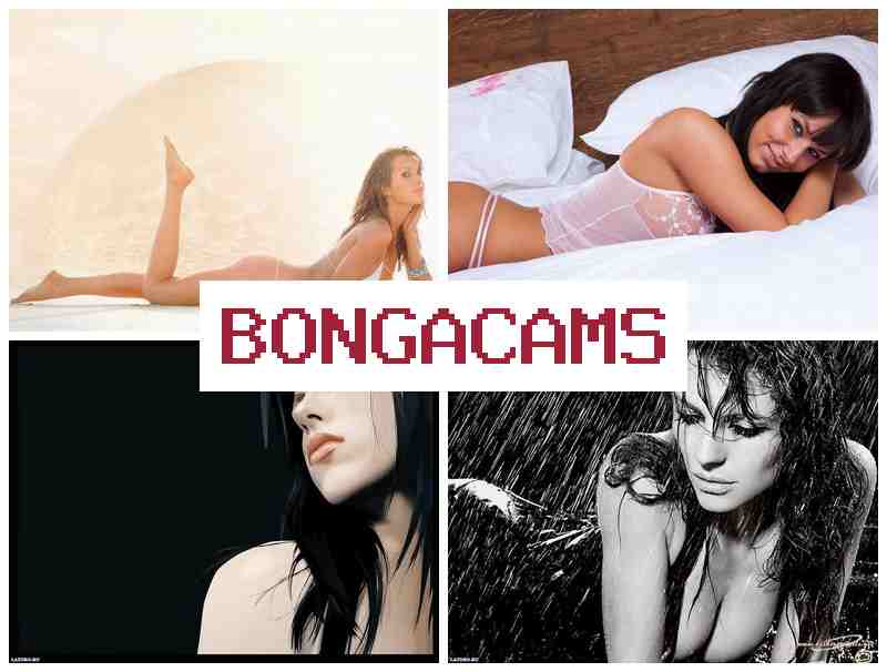 BONGA CAMX 👧 Webcam Latina Group Video & Porn Forum BONGA CAMX 👧 Webcam Latina Group Video & Porn Forum