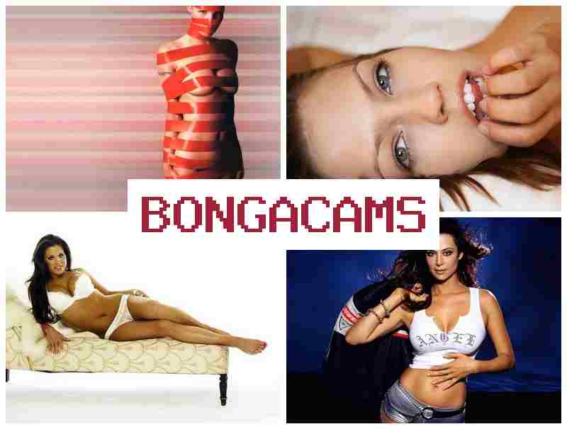 BOGNACAMS ⭕ Porn Web Webcam & Ass 18+ Sex