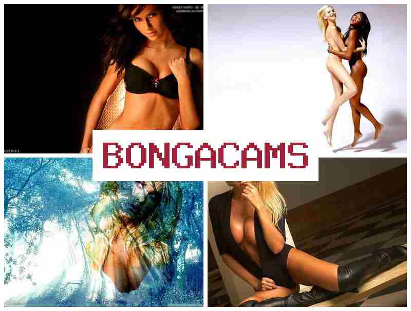 NONGACAMS 😍 Belove Free Sex & Cunt Slut