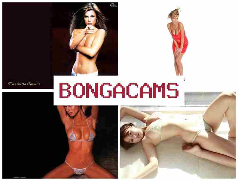 BOBGACAMS ✔️ Webcam Incest Family & Webcam Riding Porn