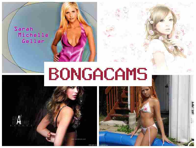 BONGQCAMS 🔻 Webcam Girls Stripchat & Teen Solo Anal Dildo, Webcam Porn