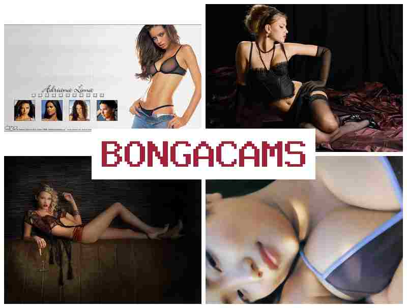 BONGAFAMS 🎇 Swallow Slut Porn & Webcam Live Sex COM