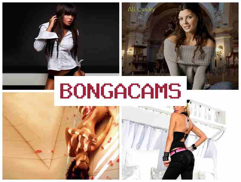 BONGAVAMS 💻 Day Porn & Family Sex