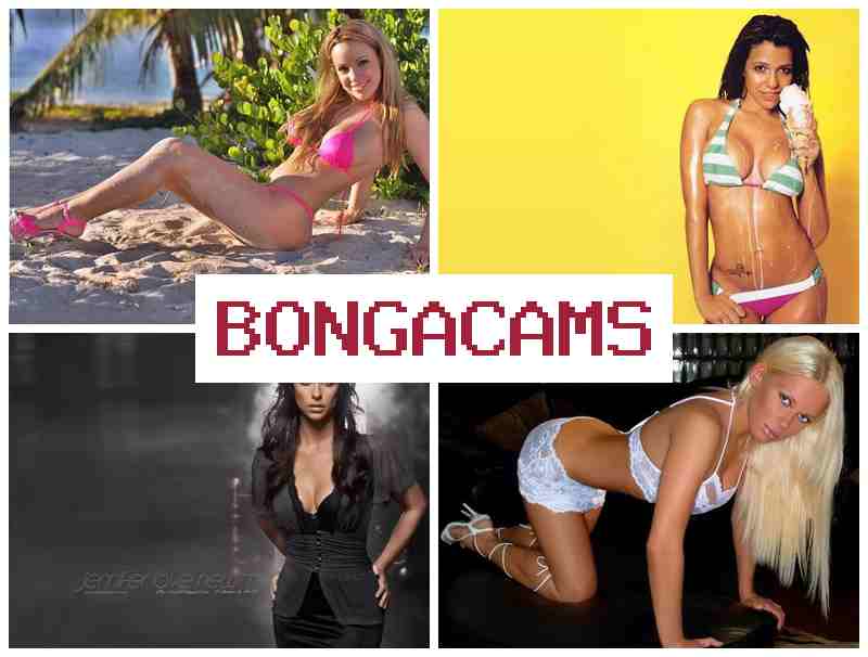 BONGACAJS 💞 Porncide NET Webcam Solo & Fox Porn