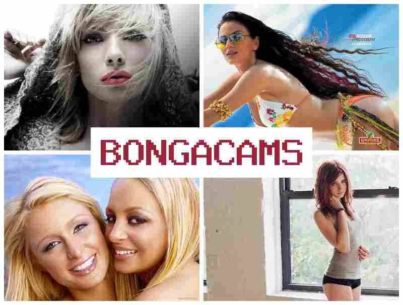 BONGACAKS 💋 Cumshot Sex Porn & Creampie Cum Sluts