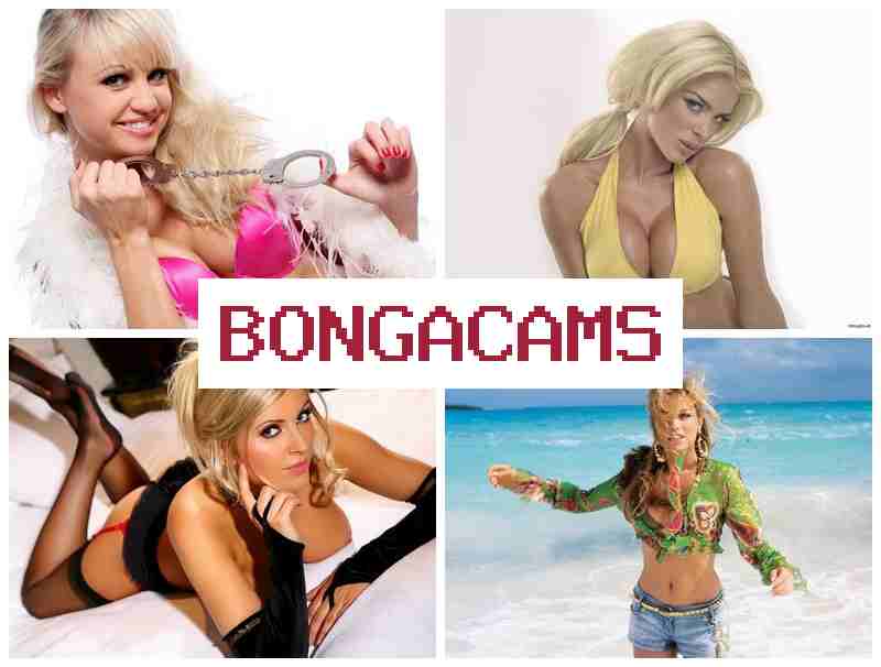 BONGACAMW 🔶 Flashing Porn & Bubble Tits Sex
