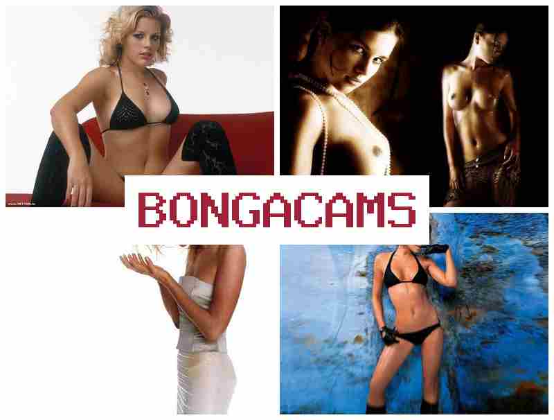 BONGACAMS 🆗 Up Porn & Fap 18+ Sex