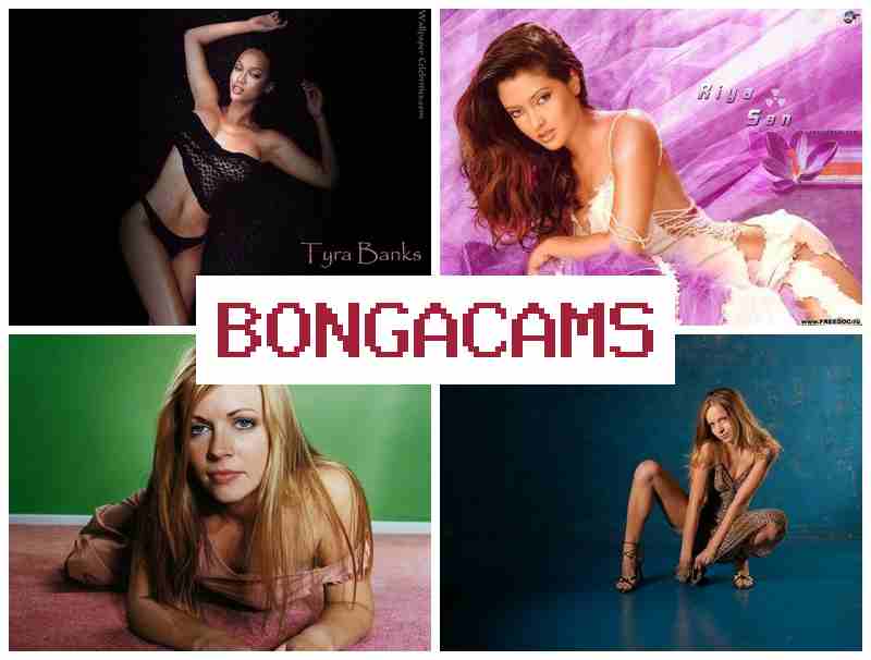 BONGA AMS 💻 Webcam XXX Movies & Homemade Wife Anal Sex