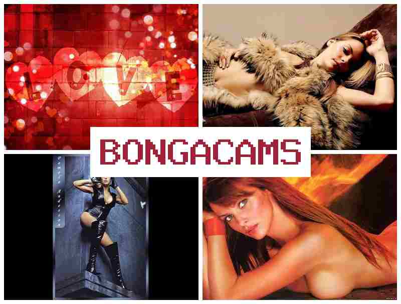BONGA CMS 🆒 Asian Hunter Porn Webcam & Phyllishardcastle Webcam Model