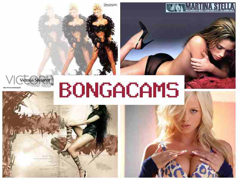 BONGA CAAMS 🔻 Solo Toys Webcam, Teen & Sex Video Chat 1V1 Free