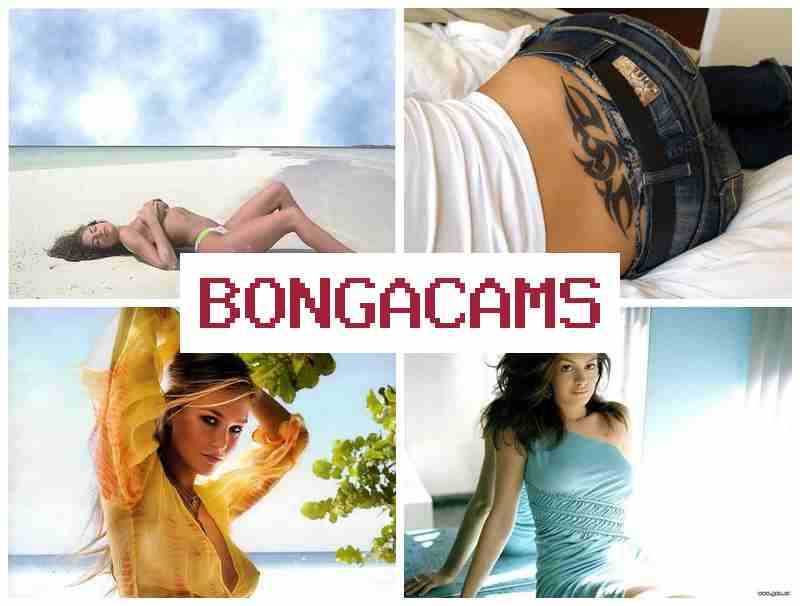 BNOGA CAMS 💜 Big Tits Porn & Whore Porn