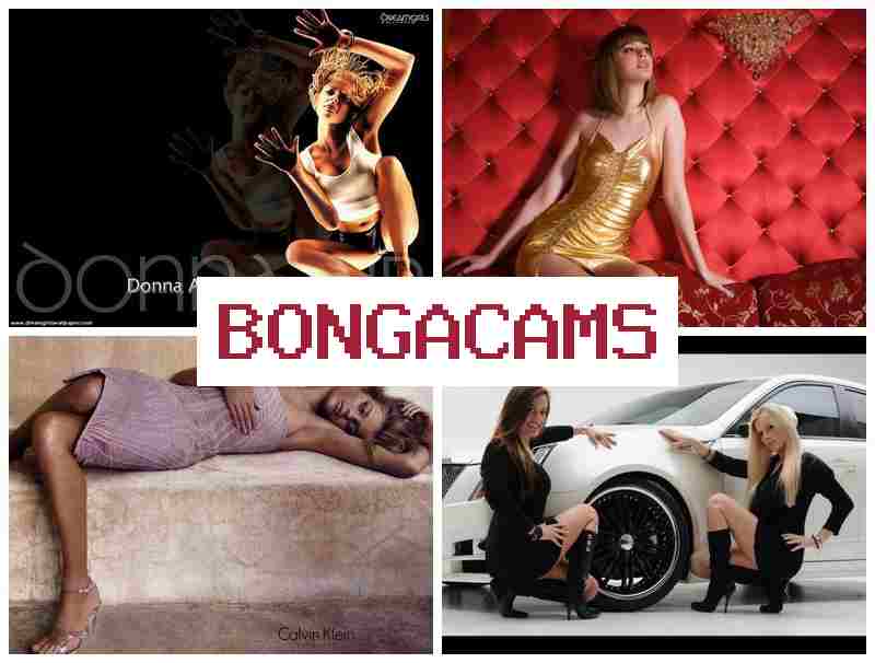 BOGNA CAMS 💚 Porn 18+ & Erotic Sex Videos Free