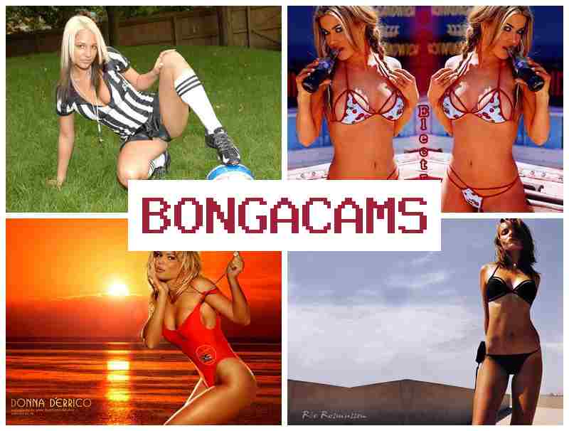 BPNGA CAMS 💘 Cheating Porn & Cuckold Sex Chat