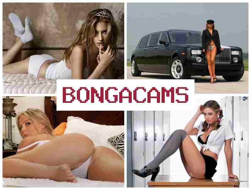 BLNGA CAMS 🌟 Sex Video Chat Live Cams & White Cock Slut