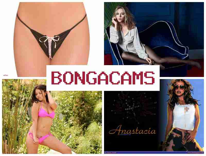 BOJGA CAMS 💟 Submissive Slut Sex & Live Webcam Porn ORG