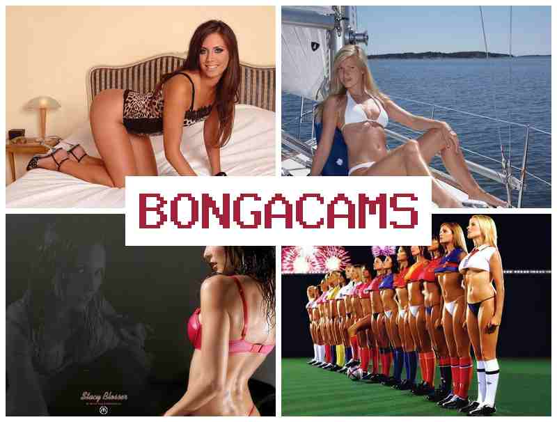 BONTA CAMS 💜 Beautiful Porno Film Sex & Genshin Sluts