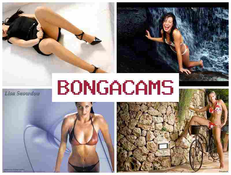 BONGA CWMS 💙 Live Me Video Chat & Slut Telegram