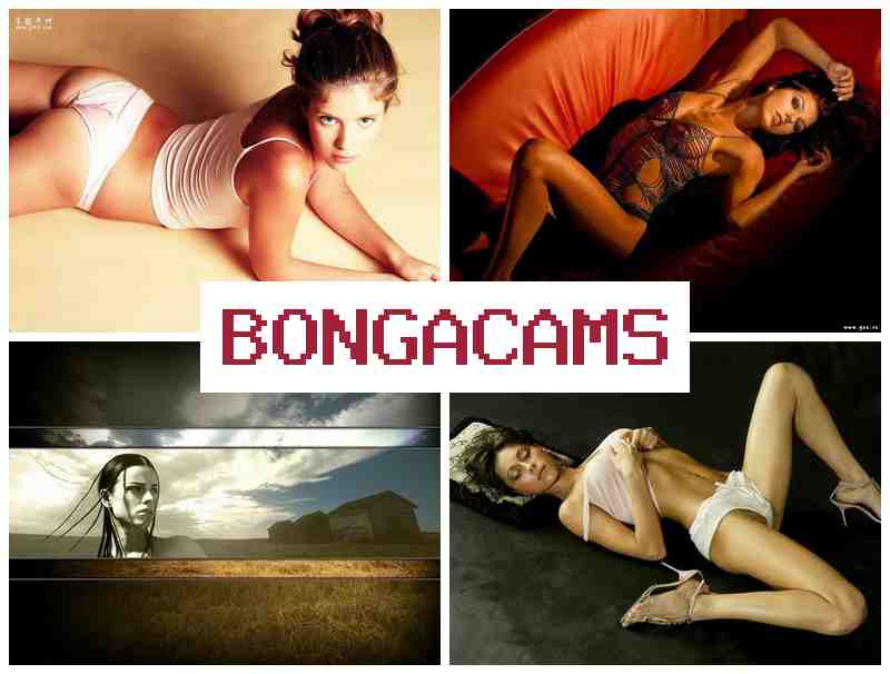 BONGA CSMS 🔴 Real Video Chat Girls & Porn Sex Blowjob