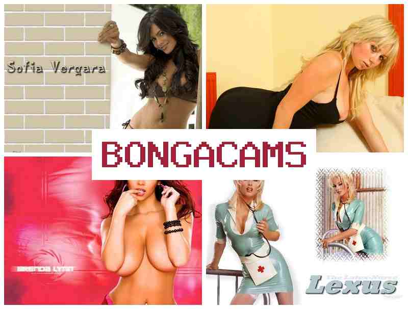 BONGA CANS 💕 Stoned Porn & Fuck Slut POV