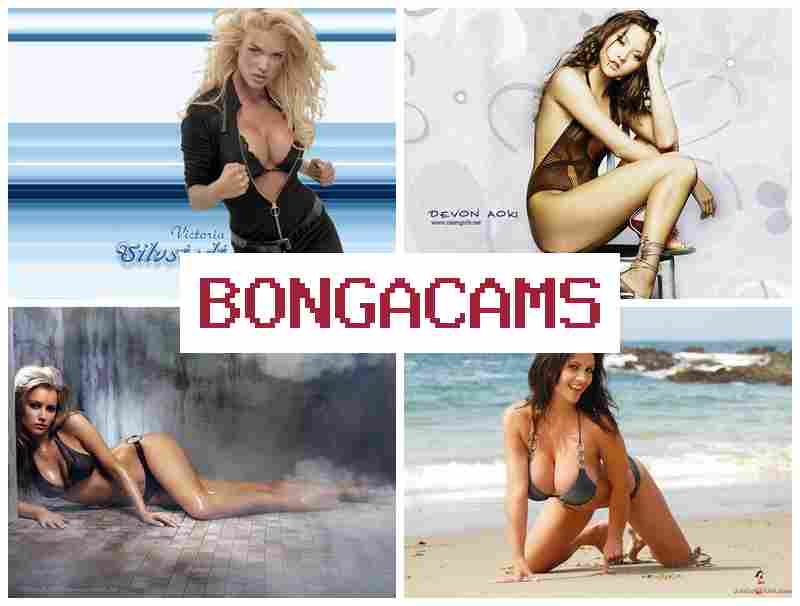 BONGA CAKS 👩 18+ Nudes Girl Solo, Webcam & Extreme Porn BONGA CAKS 👩 18+ Nudes Girl Solo, Webcam & Extreme Porn