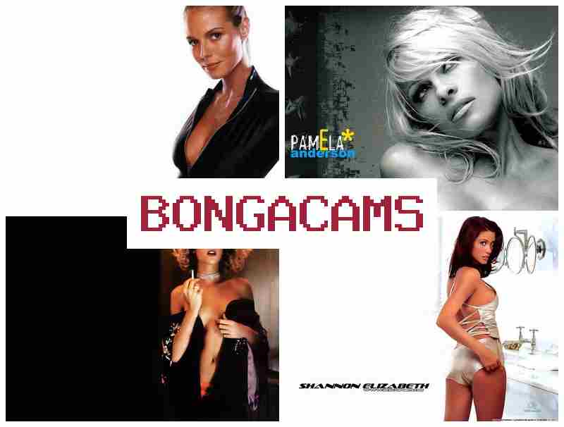 BONGA CA,S ☑️ Butterfly Webcam Porno & Home Webcam Sex