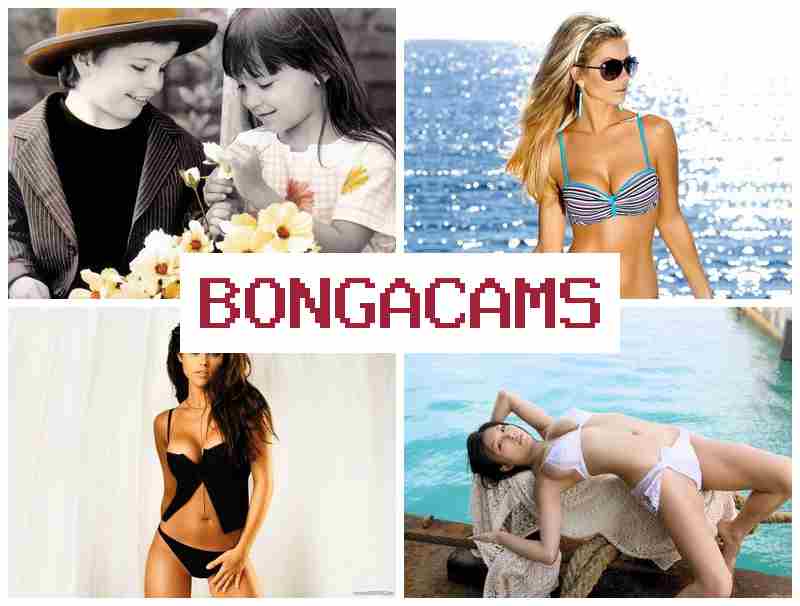 BONGA CAMD 🔞 Sluts Film Sex & Sex Xxx Porn