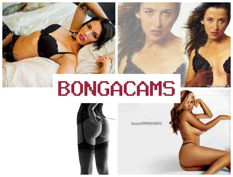 BOGACAMS 💞 Porn Channels & Lovegame Webcam Videos