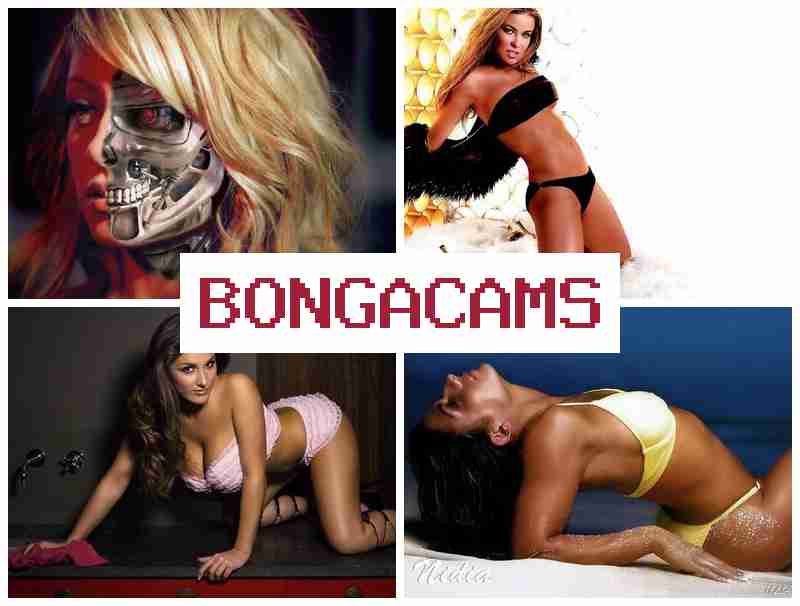 BOGNACAMS 🔷 Slut Suck Cock & Friends Couple Sex Together Film